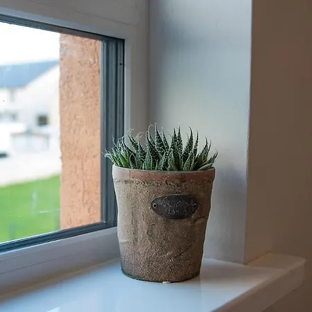 Apartament In The Heart Of - Beautiful, Spacious And Modern Two Bedroom *